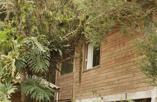 Praia do Rosa Casa | Cozy chalet immersed in native forest close to the beach and downtown Rosa!