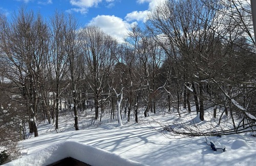 Long Pond Chalet De Esquí | COZY CHALET-CAMELBACK & KALAHARI; HOT TUB, PING PONG & POOL TABLE; GAS FIREPLACE
