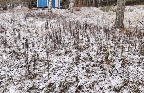 Kramfors Municipality Casa | cozy cottage near "High Coast", Angermanland, Sweden