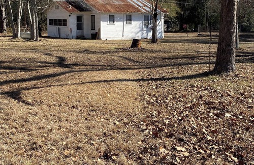 Zavalla Cabaña | Cozy Cottage in Zavalla. Minutes to Lake Sam Rayburn near Cassel Boykins.