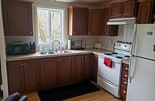 Cascadia Cabaña | Cozy Cottage right on the McKenzie River!