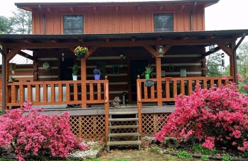 Kodak Cabina | Cozy Country Cabin NUEVO: ¡Bañera de hidromasaje y ducha al aire libre! (sin gastos de limpieza adicionales)