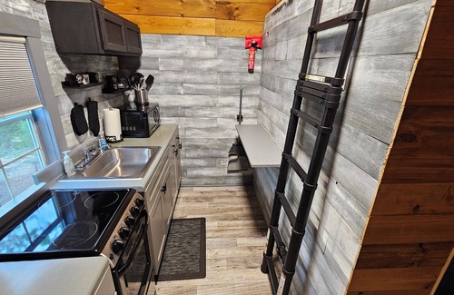 Townville Apartamento | Cozy Cove Cabin on Lake Hartwell in Townville SC