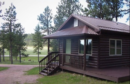 Custer Cabina | Cozy Custer Studio Cabin