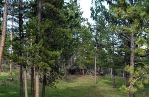 Custer Cabina | Cozy Custer Studio Cabin