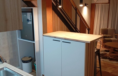 Lanin National Park Apartamento | Acogedor Loft Céntrico con Estilo Rústico