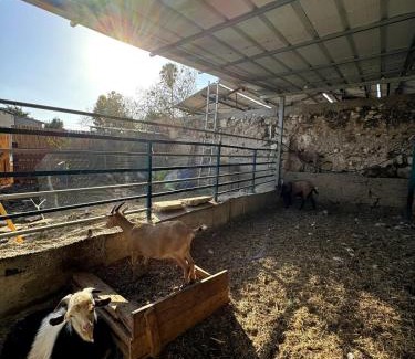 Bethlehem of Galilee Casa | Cozy Farmhouse with Goats, Garden & Deck