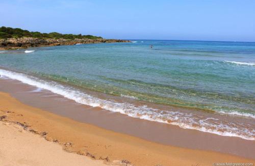 Gargaliani Apartamento | Cozy flats in an olive grove by the sandy beach