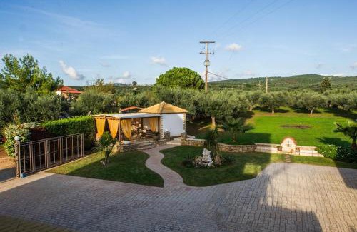 Gargaliani Apartamento | Cozy flats in an olive grove by the sandy beach