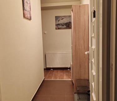 Banovo brdo Apartamento | Cozy green house (free parking spot)