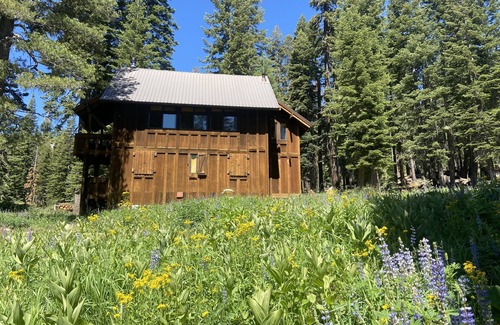 Bear Valley Cabina | Cozy Historic Bear Valley Cabin