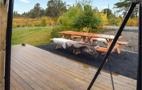 Rauland Casa | Cozy Home In Rauland With Sauna