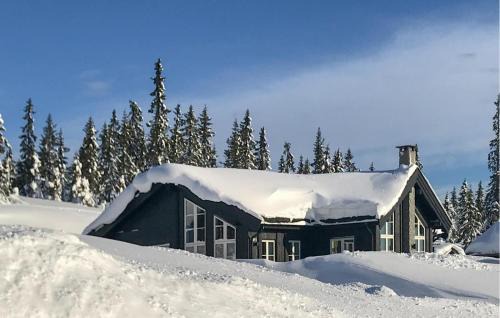 Sjusjoen Casa | Cozy Home In Sjusjøen With Sauna