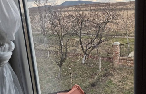 Vrsac Casa | Cozy home next to Vrsac vineyards