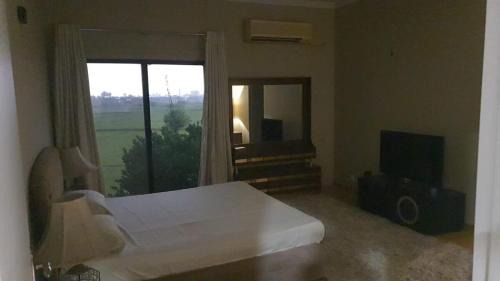 Lahore Casa | Cozy Home Retreat