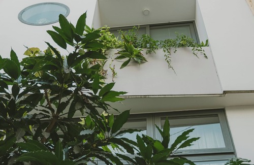 District 3 Casa | Cozy house