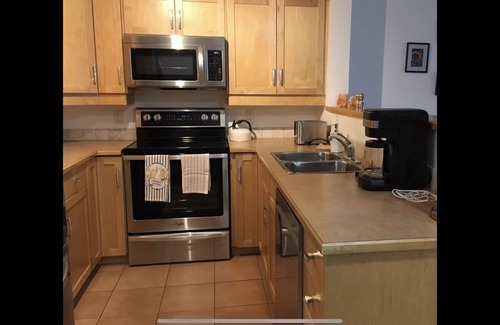 Kaslo Condominio | Cozy Kaslo Condo