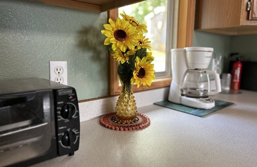 Cassville Cabaña | Cozy Lake Cottage with private view of Table Rock Lake and Arkansas Mountains.