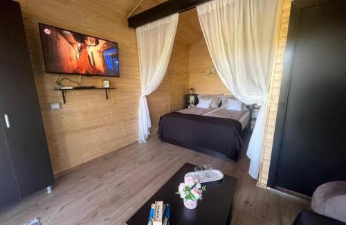 Teliucu Inferior Complejo | Cozy Lake House