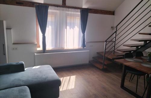 Sighetu Marmatiei Apartamento | Cozy loft apartament