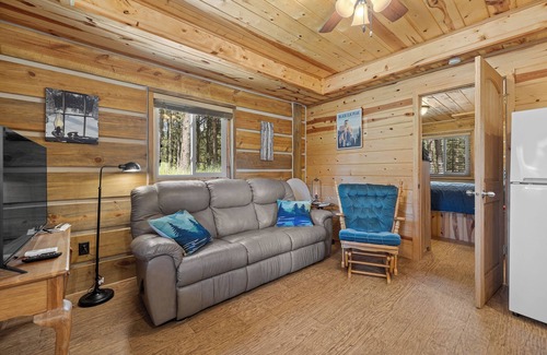 Custer Cabina | Cozy Log Cabin near Custer