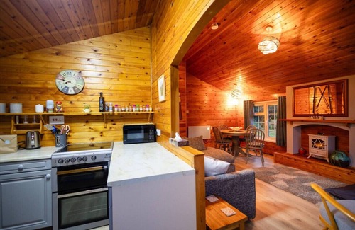 Ffestiniog Cabina | Cozy Log Cabin 346 - Rural Mid Wales