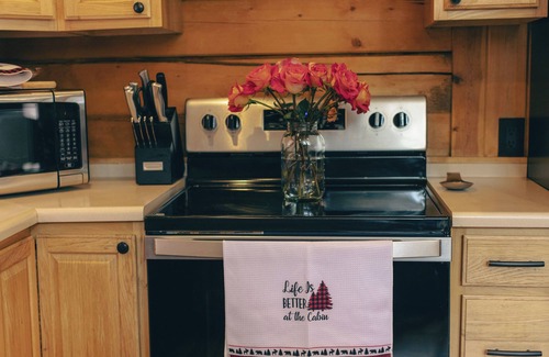 Saint Mary's Cabina | Cozy Log Cabin: hot tub under the stars, private deck, king bed, dog friendly!