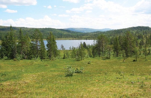 Holtalen Casa | Alojamiento de 1 habitaciones en Haltdalen