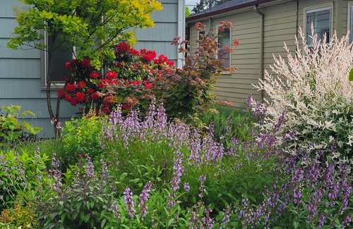 Mount Scott-Arleta Apartamento | Cozy modern garden studio with WiFi and AC in SE Woodstock Portland