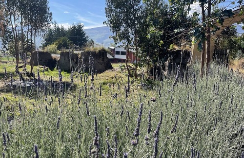 Machachi Chalet De Esquí | Cozy mountain retreat, great BBQ area! Pet friendly