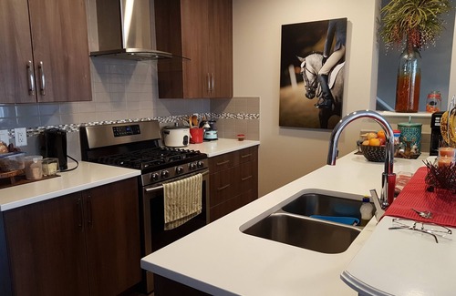 Southeast Calgary Casa | Cozy new unit near restaurants, bars, stores, bus stations, and hospital.
