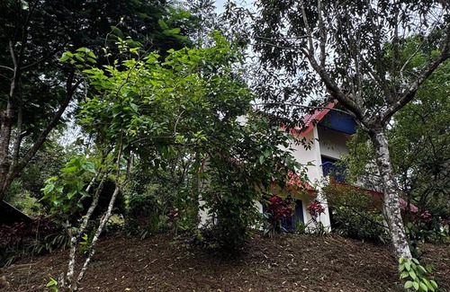 Kuttikkanam Cabaña | Cozy plantation estate cottage/bunglaow