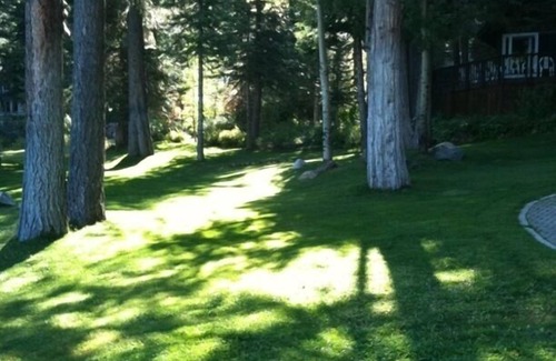 Carnelian Bay Cabaña | Cozy Cottage Lakefront privado Rodeado de frondosos árboles