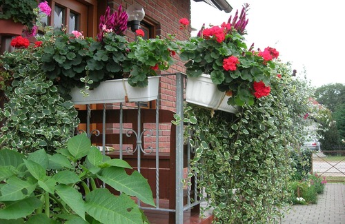 Rathenow Apartamento | acogedor apartamento con mucho espacio en la hermosa Havelland