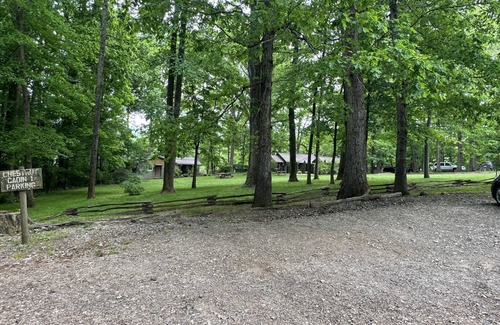 Candler Cabina | Cozy, rustic cabin just minutes from Downtown Asheville!