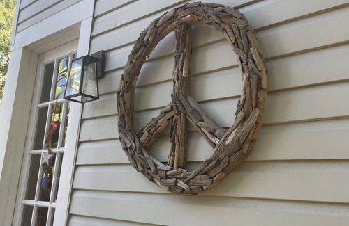 Palma Ceia Cabaña | Cozy South Tampa Boho Guest Cottage