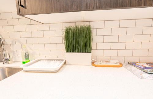 Calgary Apartamento | Cozy Springs