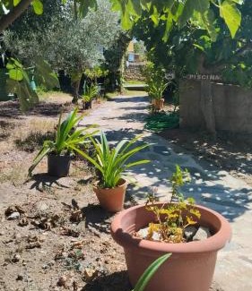 La Acena de la Borrega Apartamento | Cozy studio in Valencia de Alcántara 25 m² lovely garden