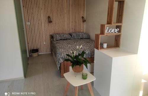 Ripenda Verbanci Apartamento | Cozy studio in Ripenda Verbanci 24 m² with private garden
