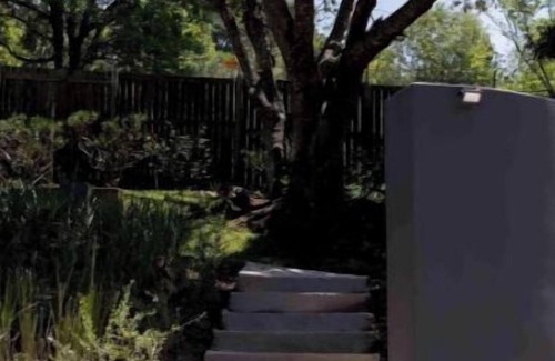 Kloof Apartamento | Cozy & Stylish 1-Bedroom Studio Apartment