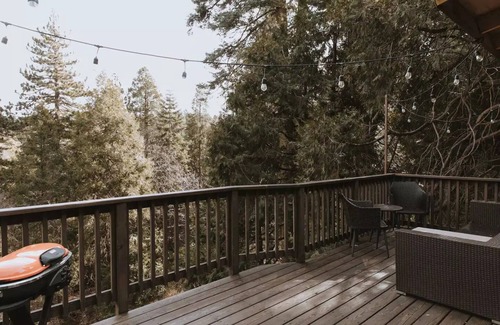 Cedarpines Park Casa | Cozy & Stylish Modern Mountain Retreat. Dog Friendly! Close to Trails & Lake.