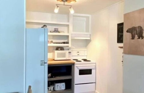 Revelstoke Apartamento | Cozy Suites! Great Location! - Kodiak Bear