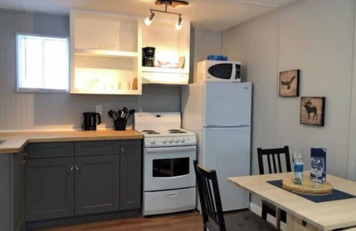 Revelstoke Apartamento | Cozy Suites! Great Location! - Brindle Suite