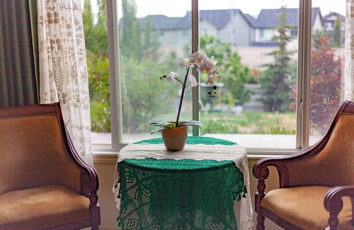 Cochrane Casa | Cozy tidy private | Sunset Garden