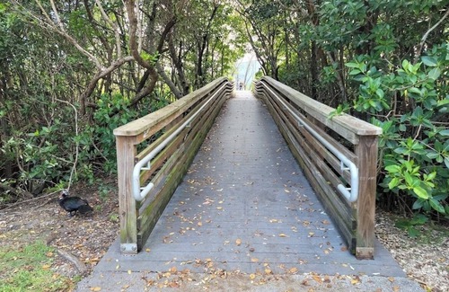 Princeton Casa | Cozy townhome in sunny South Florida with amenities and nearby nature parks