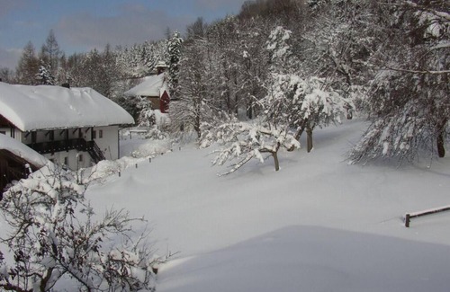 Schwarzach Apartamento | Cozy apartment (80sqm) with access to the courtyard