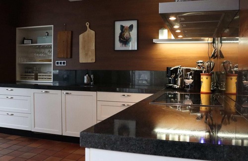 Den Ham Villa | Casa en Den Ham con sauna cerca del bosque