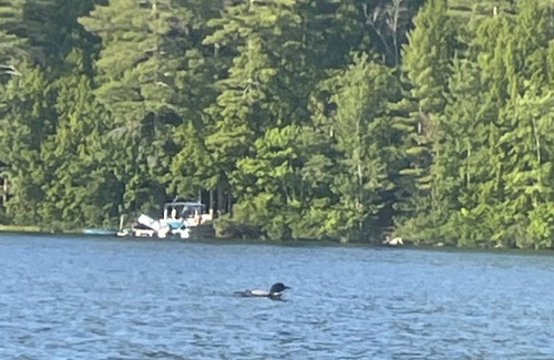 Lyman Casa | Waterfront house, private boat ramp and dock. Minutes to Kennebunkport