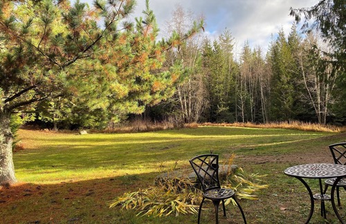 Boundary County Cabina | Cozy yurt nestled in a private forest