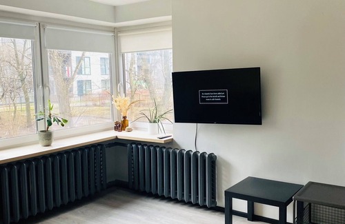Business District Apartamento | Cozy1-bedroom apartment in Vilnius City Center,1st floor, private entrance